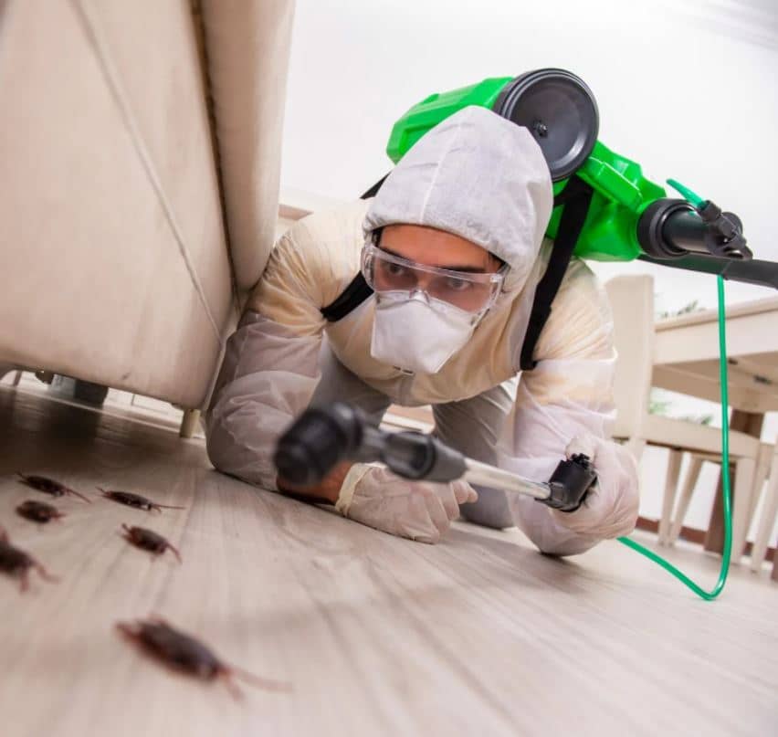 Быстрое решение проблемы с тараканами в помещениях Ачинска